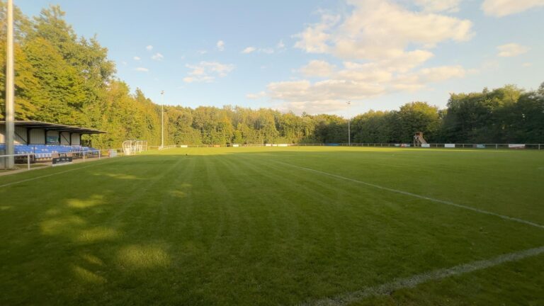 Irmão mais velho de Bruno Fernandes brilha no modesto Roffey FC, o “Theatre of Trees”