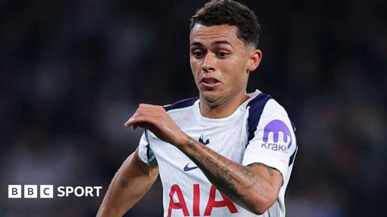 Craig Bellamy confia que Brennan Johnson ganhará espaço no Tottenham de Thomas Frank